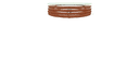 Schematic Image 5