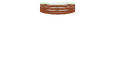 Schematic Image 6