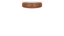 Schematic Image 1