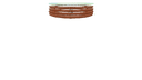Schematic Image 3