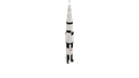 Schematic Image 1