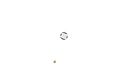 Schematic Image 4