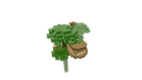 Schematic Image 1