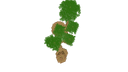 Schematic Image 5