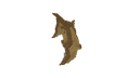 Schematic Image 6