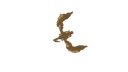 Schematic Image 3