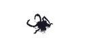 Schematic Image 1