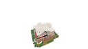 Schematic Image 5
