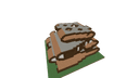 Schematic Image 3