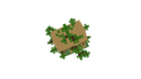 Schematic Image 5