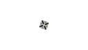 Schematic Image 1