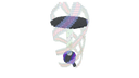 Schematic Image 6
