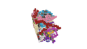 Schematic Image 6