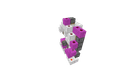Schematic Image 3