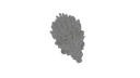Schematic Image 5