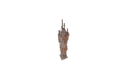 Schematic Image 5