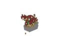 Schematic Image 6