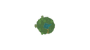 Schematic Image 4