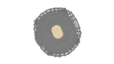 Schematic Image 1