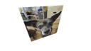 Schematic Image 6