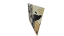 Schematic Image 1