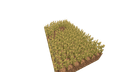 Schematic Image 5