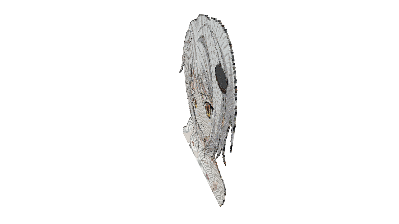 Schematic Image 3