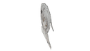 Schematic Image 6