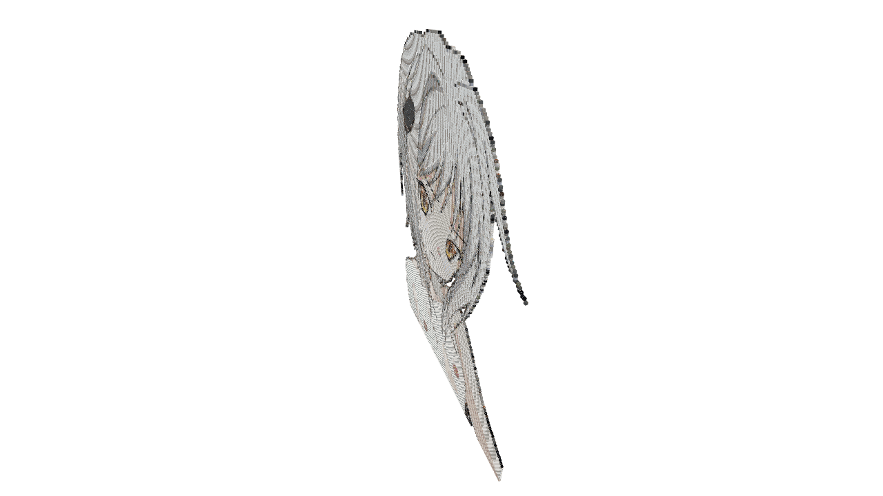 Schematic Image 6