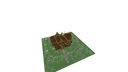 Schematic Image 5