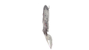 Schematic Image 5