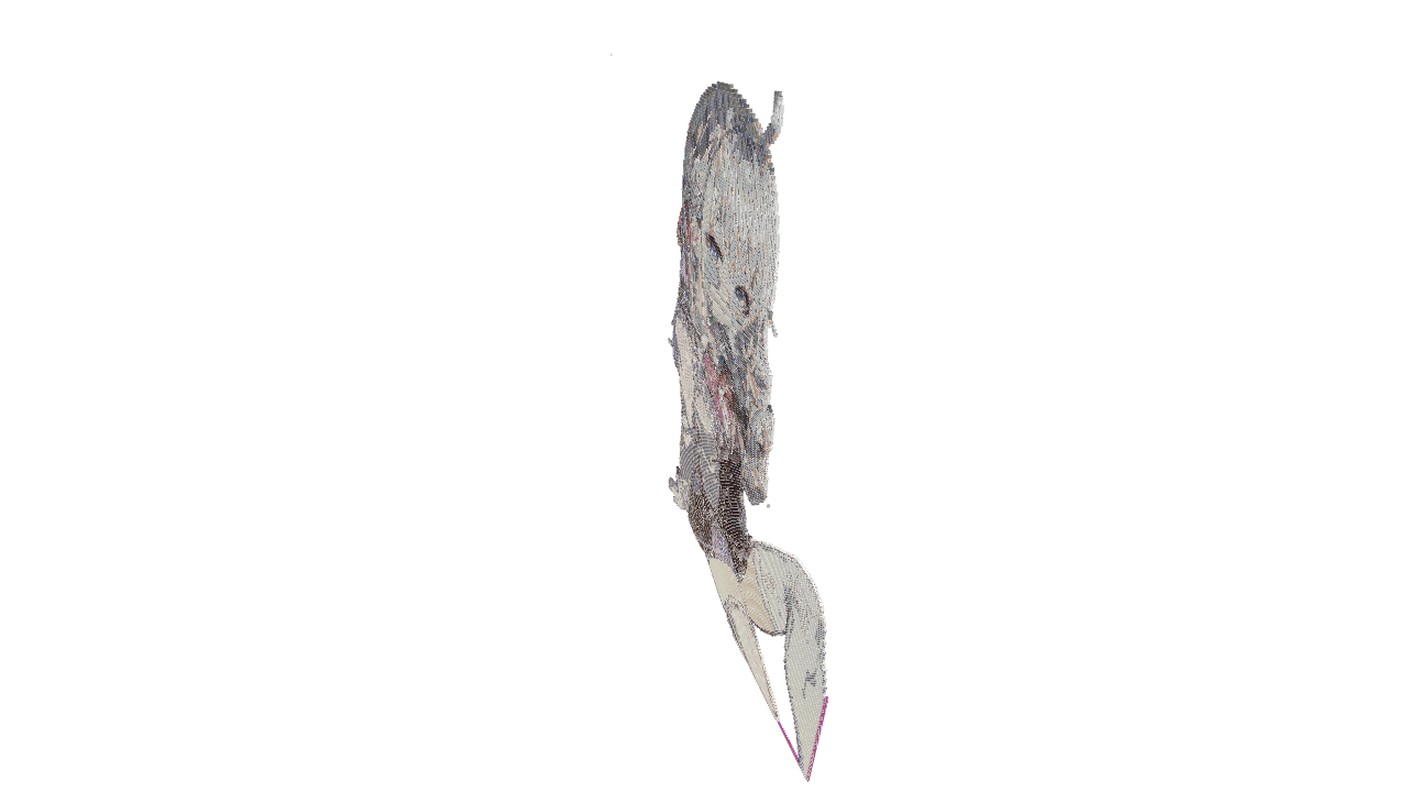 Schematic Image 5