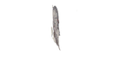 Schematic Image 1