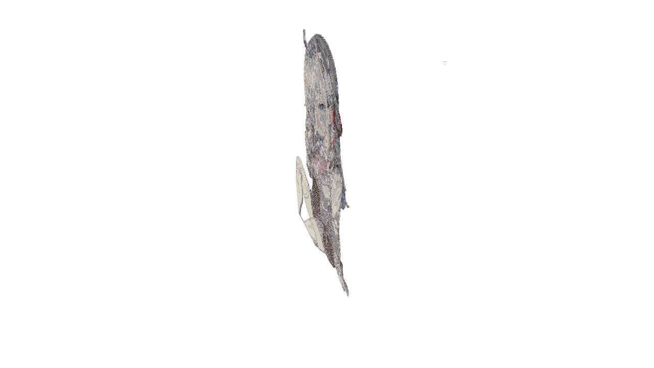 Schematic Image 1