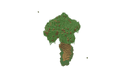 Schematic Image 4