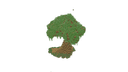 Schematic Image 3