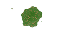 Schematic Image 6