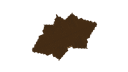 Schematic Image 5