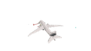 Schematic Image 6