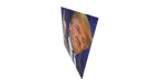 Schematic Image 3