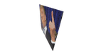Schematic Image 4